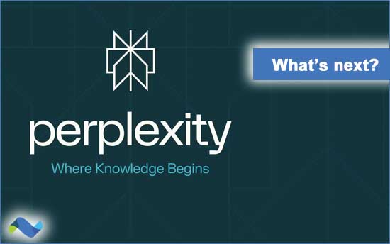 Perplexity