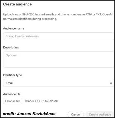 Custom Audiences